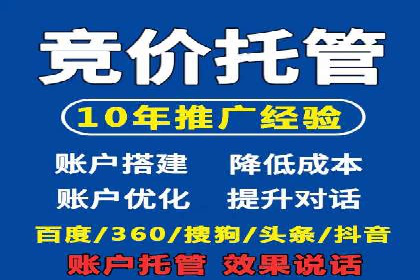 搜索引擎竞价推广：某行业领先企业的成功之路